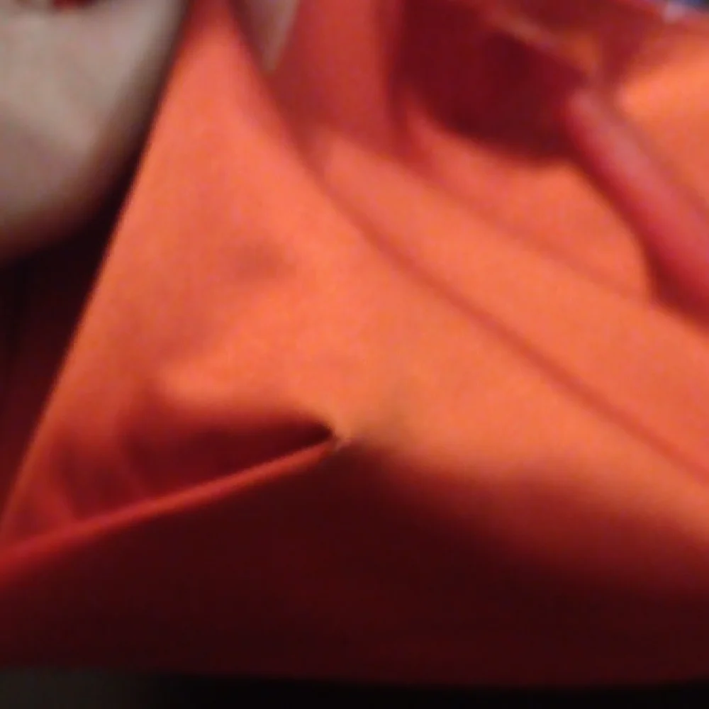 Longchamp Le Pliage Red Tote Bag EUC - Picture 11 of 14